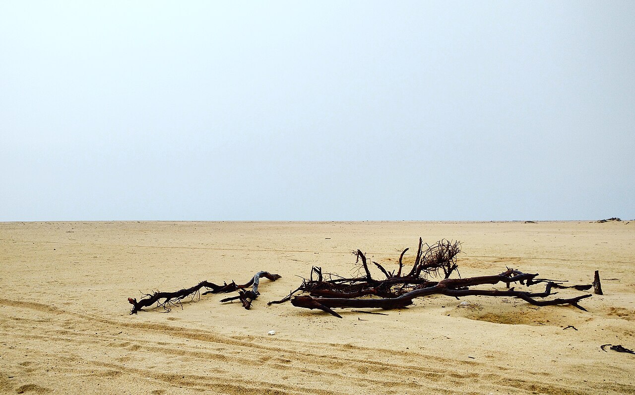 Dhanushkodi & Rama Setu viewpoint