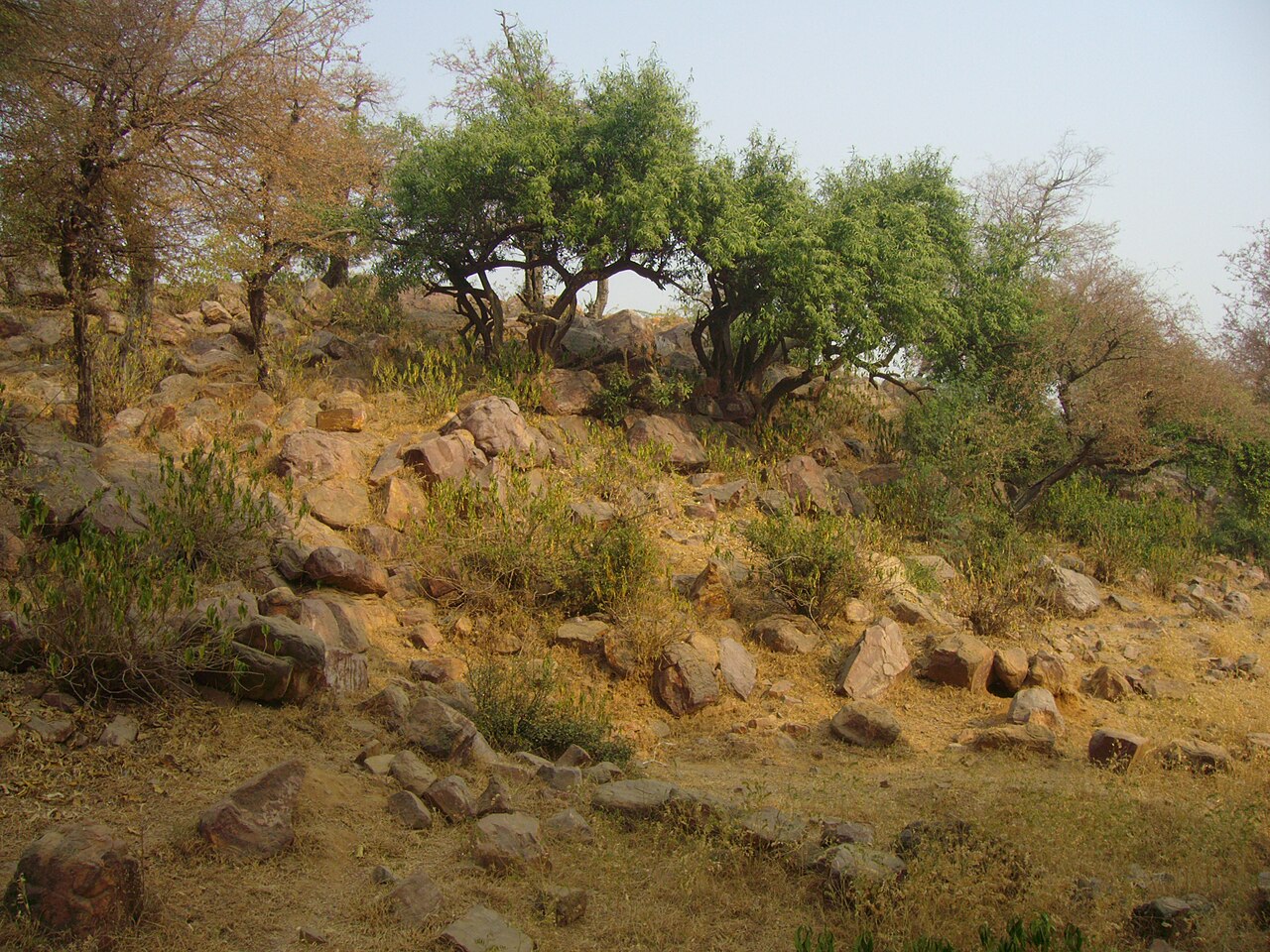 Giriraj Govardhan