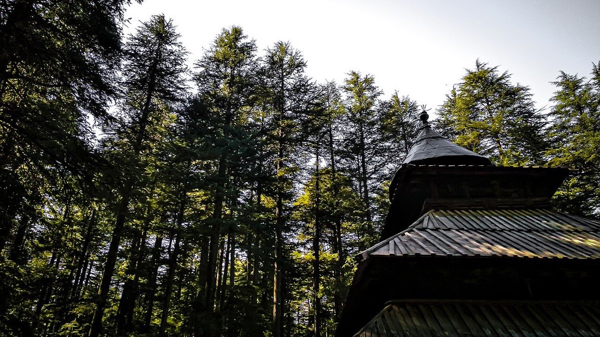 Hadimba Devi Temple, Manali